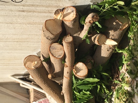 Jeddah, Materials, SAR 700,  Tree Wood