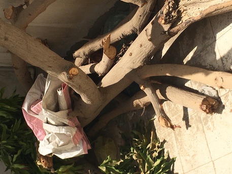 Jeddah, Materials, SAR 700,  Tree Wood