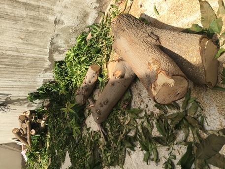 Jeddah, Materials, SAR 700,  Tree Wood