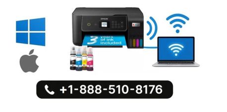 New York, Computer, Canon Printer Offline On Windows Or Mac?
