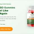 USD 32,  Calmora Gummies Reviews: The Best Anxiety Relief Formula In USA?
