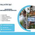 Salesforce Implementation Services
