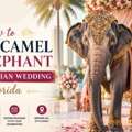 How To Hire A Camel And Elephant For Your Indian Wedding In Florida