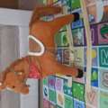 BHD 12,  Toy Rocking Horse For BD 12/-