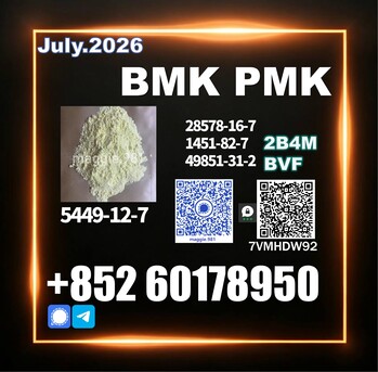 The Hague, Materials, Usd 170,  New BMK CAS 5449-12-7 2b4m Competitive Bulk Pricing