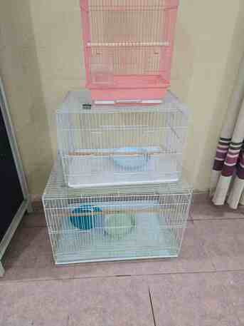 Al Rehab, Pet Supplies, SAR 200,  Parrots & Buddgies Cages And Their Homes