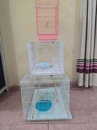 Al Rehab, Pet Supplies, SAR 200,  Parrots & Buddgies Cages And Their Homes