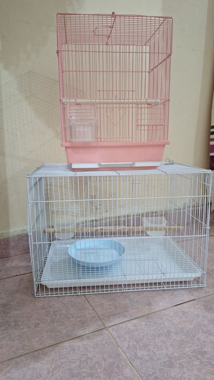 Al Rehab, Pet Supplies, SAR 95,  Parrots & Buddgies Cages And Their Homes