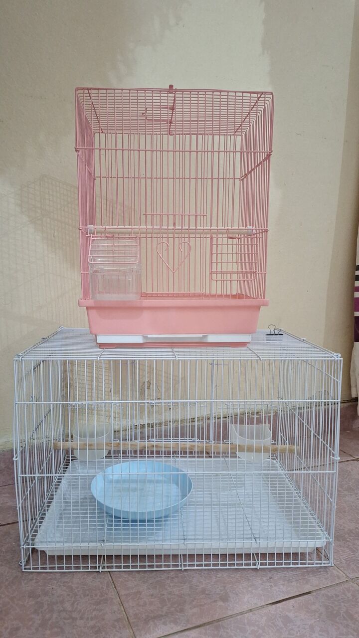 Al Rehab, Pet Supplies, SAR 95,  Parrots & Buddgies Cages And Their Homes