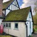 Expert Moss Removal Services In Chesham &ndash; Fast, Safe & Effective