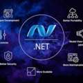 Top 10 Asp Dot Net Developer India
