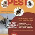 # Professional Save Pest Control Spray With Best Price Service 0558563189