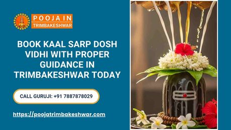 Mumbai, Counseling, Book Kaal Sarp Dosh Vidhi With Proper Guidance In Trimbakeshwar Today