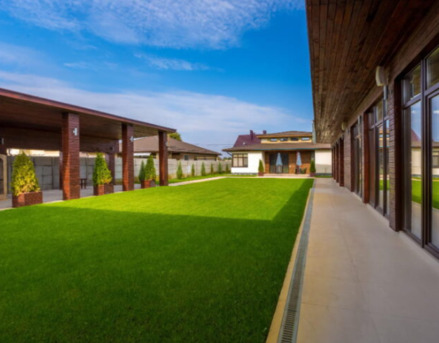 New York, Farm/Garden, Lawn Maintenance Springfield VA | Reliable Lawn Care Experts