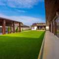 Lawn Maintenance Springfield VA | Reliable Lawn Care Experts