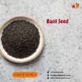 ZAR 01,  Buy Pure Basil Seed Online &ndash; Bulk Supply Available
