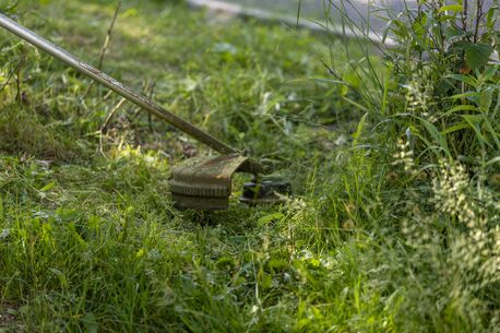 Calgary, Business, Calgary Lawn Care & Mowing Services &ndash; Professional, Reliable & Affordable