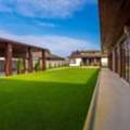 Spring Cleanup Burke VA | Professional Yard Cleanup Services