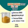 CNY 50,  PMK Oil CAS No. 28578-16-7 | Technical Data, COA & MSDS