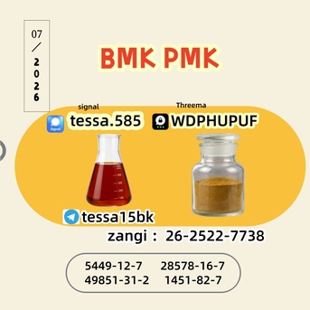 Hong Kong, Wholesale Products, High Purity CAS 5449-12-7 BMK Glycidic Acid Sodium Salt Supplier