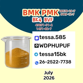 Hong Kong, Wholesale Products, High Purity CAS 5449-12-7 BMK Glycidic Acid Sodium Salt Supplier