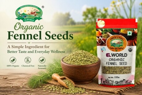 Noida, Food, INR 75,  Buy Fresh Fennel Seeds Online | Elworld Organic