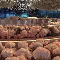 Best Event Decoration Company In Dubai | Luxury Moments