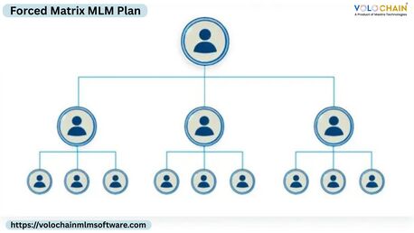 Noida, Software Development, Advanced Forced Matrix MLM Plan For Ensuring Team Success