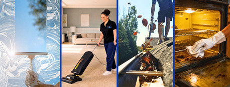 New York, Business, Best Home Cleaner In Minneapolis - Details & Dixon&rsquo;s