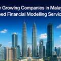 Why Growing Companies In Malaysia Need Financial Modelling Services