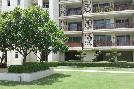 Gurgaon, Buildings, Find The Best Resale Opportunities At DLF The Summit On Sale Gurgaon