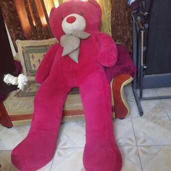 Jeddah, Furniture, SAR 700,  FOR SALE: GIANT 7FT PINK TEDDY BEAR 🧸