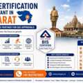 Who Is The Best BIS Consultant In Gurgaon?