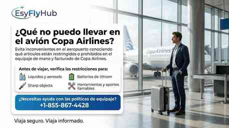 New York, Travel, ¿Qué No Puedo Llevar En El Avión Copa Airlines?