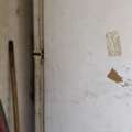 SAR 150,  Fridge For Sale