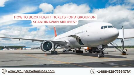 New York, Travel, How To Book Flight Tickets For A Group On Scandinavian Airlines?