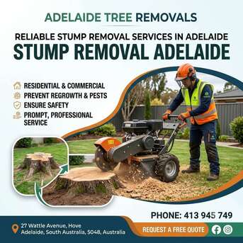 Sydney, Farm/Garden, Reliable Stump Removal Services In Adelaide | Adelaide Tree Removals
