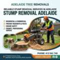Reliable Stump Removal Services In Adelaide | Adelaide Tree Removals