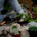 Terrarium Labs