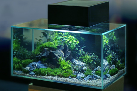 Kolkata, Business, Terrarium Labs