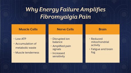 Pune, Guest Posting, Magnesium Malate & Bisglycinate For Fibromyalgia &mdash; A Practical Guide