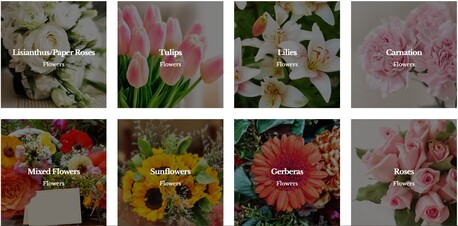 Manila, Farm & Garden, PHP 69518900,  The Flower Patch Shop