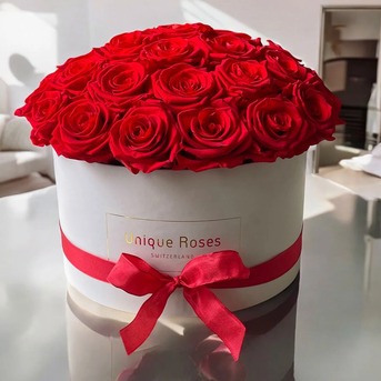 Geneva, Farm & Garden, CHF 149,  Rosen Pflegen Und Frische Blumen Bestellen &ndash; Ihr Ratgeber Für Die Schweiz