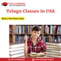 Telugu Classes In Chicago, Illinois