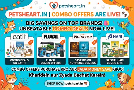 Mumbai, Pet Supplies, Big Discounts On Cat, Dog, Fish & Bird Products
