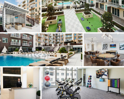 Edmonton, Real Estate, Comfortable Living With Premium Apartment Amenities In Edmonton By Connect Residences