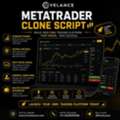 Buy MetaTrader Clone Script For Forex Brokerage Business
