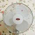 SAR 65,  TAT Wall Fan