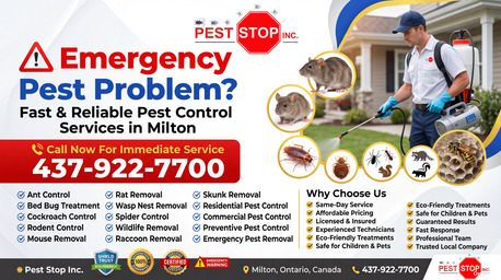 Hamilton-Burlington, Pest Control, Raccoon Problems In Milton & Halton?