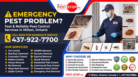 Hamilton-Burlington, Pest Control, Raccoon Problems In Milton & Halton?
